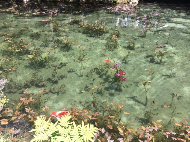 ���P�P������_���l�̒r�@�򕌌�