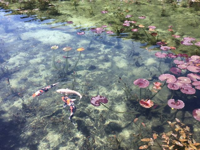 ��j���ł����Y��_���l�̒r�@�򕌌�