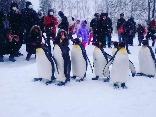 �y���M���̂��U��_���R������