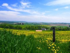 bb126̃TCNOcA[/Xm[V[cA[т̃KChւ̓eʐ^1