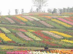 那須フラワーワールド アクセス 営業時間 料金情報 じゃらんnet