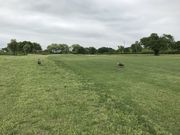 낤̌É̓StNX̓eʐ^1