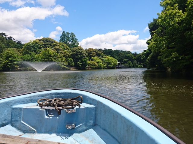 �D�ォ��_�����Ï�����i��Ձj