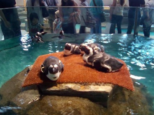 �y���M��_NIFREL�i�j�t�����j