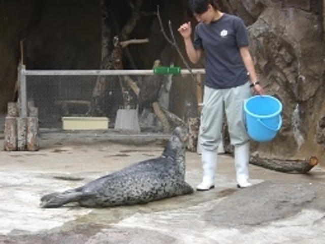 �������_���R������