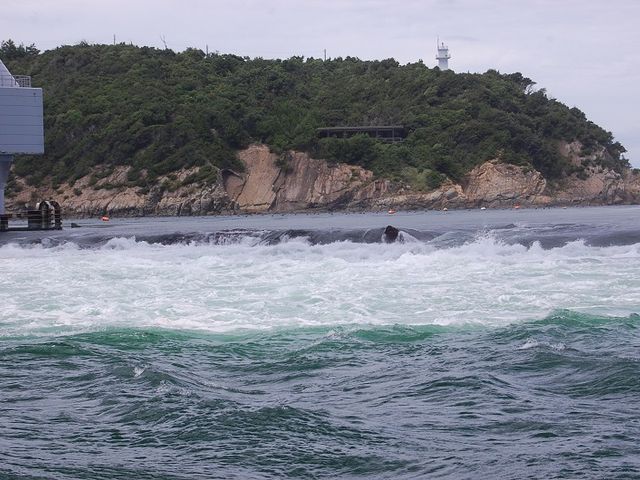 �C�ɒi�����I_���������ϒ��D