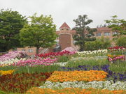 kyoukõt[cp[Nxmze̓eʐ^1