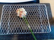 ER̂̂ sze ̓eʐ^1