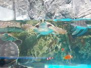 񂳂̓a݂ߔفuJb^v̓eʐ^1