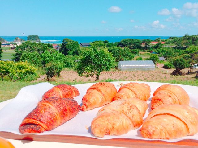 �A�v���R�b�g�E  ���񂱓��� �E �P��200�~_�F�쉷��悵��̗�