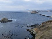 higekuma50̊GۖW]̓eʐ^1