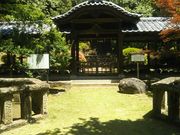 �Ƃ�˂�����̌������̓��e�ʐ^2