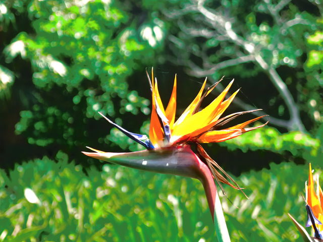 �X�g�����`�A_�s������A������