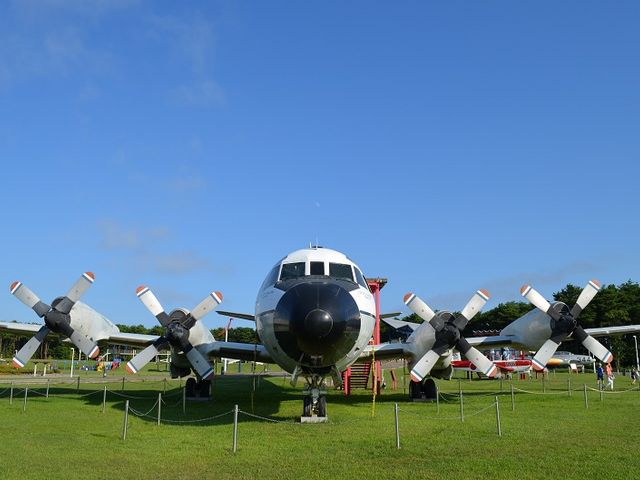 WFbg@Avy@̕łˁB_XOqȊw