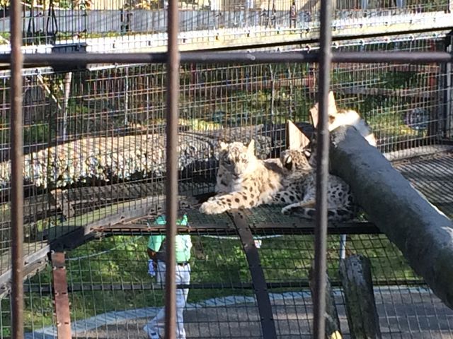 �S�������܂���B�����ɓ����Ă����̂̓L�������炢�ł��傤���B_���R������