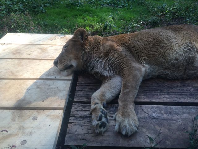 �Q�Ă��ċN���Ȃ������΂���_���R������