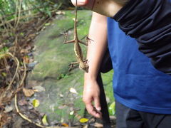 񂱂̐\Jk[cA[̂тՂՂûՂvւ̓eʐ^1