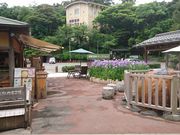 NXElEȑWF[gJtFChaya̓eʐ^3