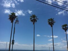 shirleyzhuanĝ܂߂낤̕lĂ}[Pbgւ̓eʐ^2