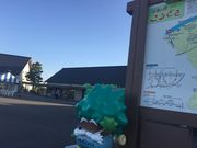 Ƃ񂷂̃Xg I[̓eʐ^2