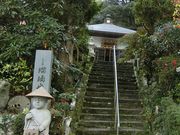 ނ炳񂳂̗ڗi啪sj̓eʐ^2