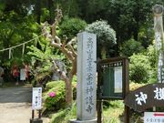 ނ炳񂳂̐_쎛̎߉ޟϑ̓eʐ^1