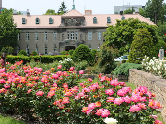 �����ۂ�e���r��