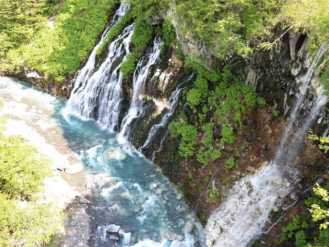 ���Ђ��̑�