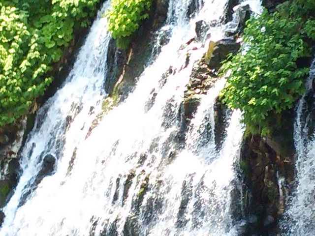 ����ł�_���Ђ��̑�