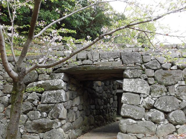 �@_�蓇���