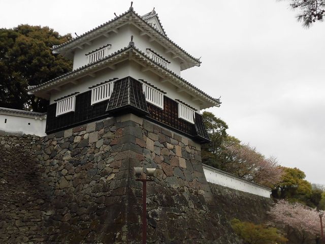 �A_�蓇���