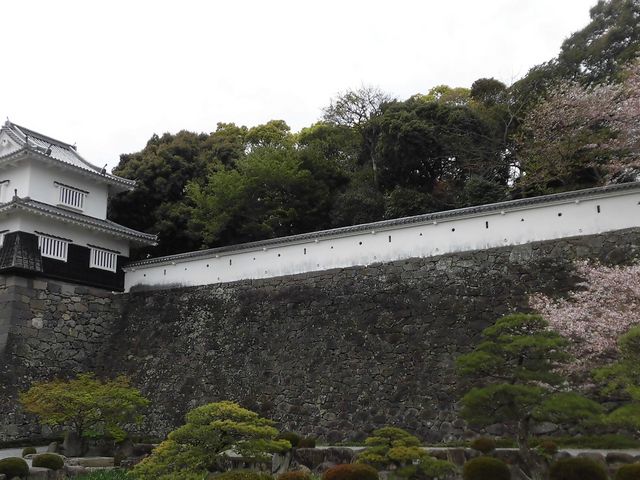 �B_�蓇���