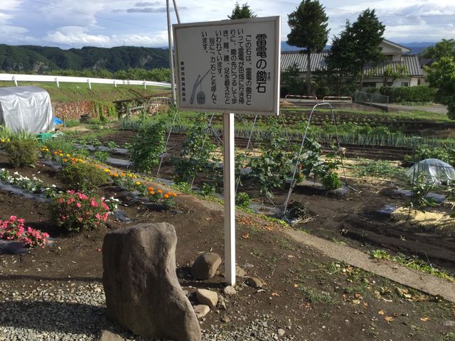 �͎m���d�̐���