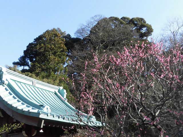 �A_������