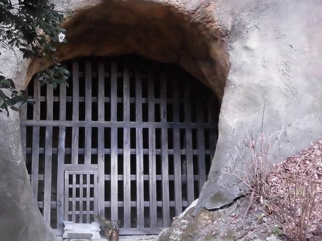 �B_������