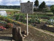 }Cann̗͎md̐Ƃ̓eʐ^1