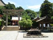 �O�����l����̑��z�����_�Ђ̓��e�ʐ^3