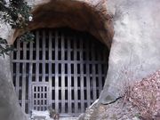 �ڂ肳��̌������̓��e�ʐ^3