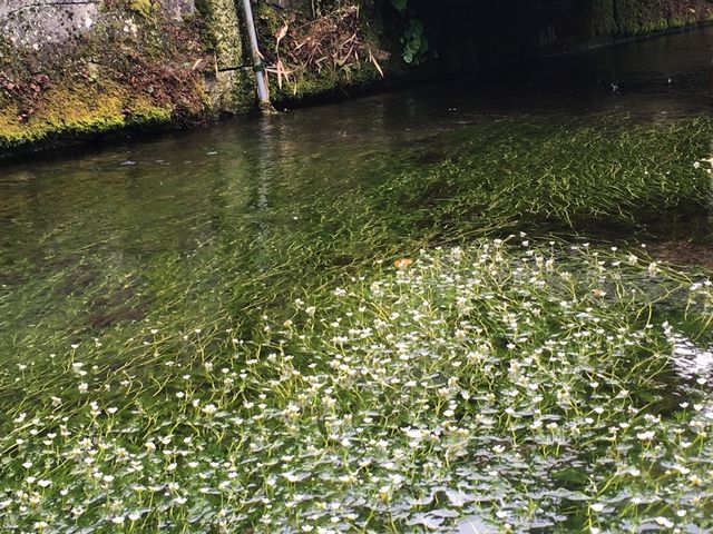 �~�ԑ��@�����Ԃ����������炸�B_����E�n����̔~�ԑ�