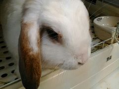 䂩䂩̂JtF@тсyr܁zւ̓eʐ^1