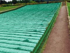 ��������̔�z�ӂꂠ�����Y�Z���^�[�їтւ̓��e�ʐ^1