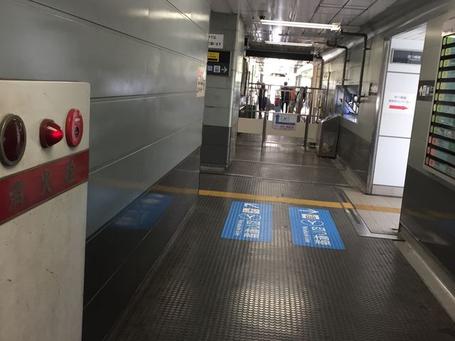 �A���ʘH_�l���� �Z�V�]�����w