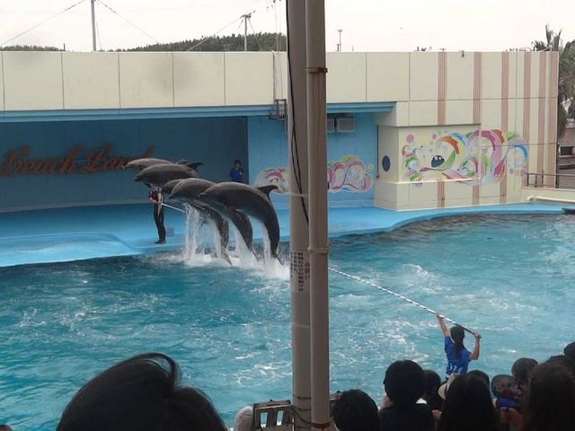 ��m���r�[�`�����h&��m���������ቤ��