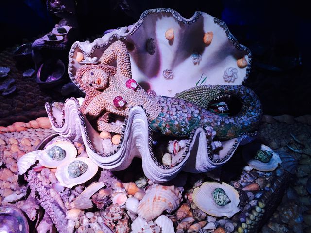 l̃IuWFBVRLɒ_|t@^W[