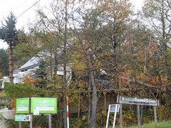 Lَ̉qH[tmfXւ̓eʐ^1