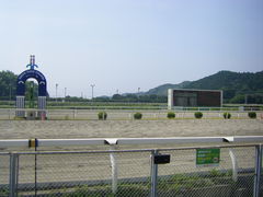 񂽂낤̍mnւ̓eʐ^1