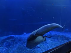 ܂̓mr[`h&mቤւ̓eʐ^1