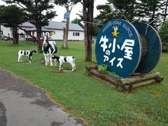 ��肳��̋������̃A�C�X�ւ̓��e�ʐ^1