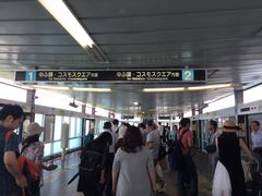 񂯂񂳂̓`|[g^E ZV]wւ̓eʐ^1