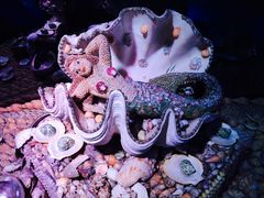 䂫Ȃ̒|t@^W[قւ̓eʐ^1